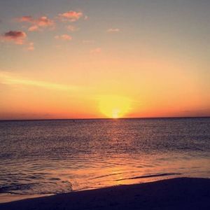 Meet your Posher, Lena